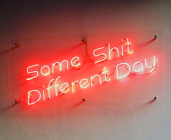 Red neon sign displaying a humorous quote, perfect for modern interiors and unique decor HD wallpaper