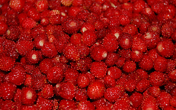 Fruits, Food, Berries HD wallpaper
