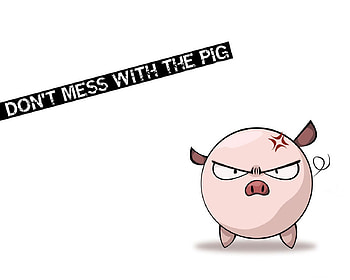 PIG, animal, flu, swine, angry HD wallpaper