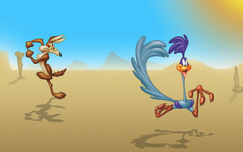 Road Runner and Wile E. Coyote, Looney Tunes Characters HD wallpaper