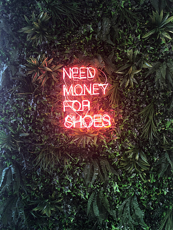 Leaves, Words, Neon, Inscription HD phone wallpaper