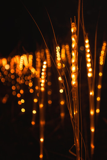 Lights, Glare, Miscellanea, Miscellaneous, Glow, Garland HD phone wallpaper