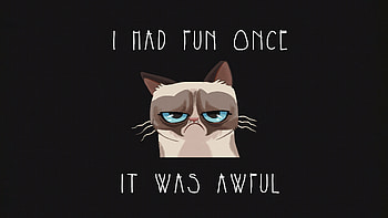 Cat Humour Funny Quote, cat, dark, black, funny, minimalism, minimalist, typography, artist, artwork, digital-art HD wallpaper