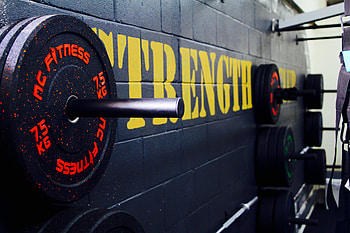 Sports, Gym, Weight, Disks, Drives, Body-Building, Bodybuilding HD wallpaper