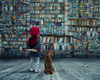 This is It, dog, books, animals, child HD wallpaper