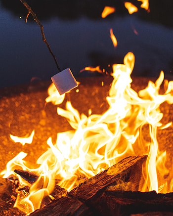 Bonfire, Miscellanea, Miscellaneous, Evening, Camping, Campsite, Zephyr, Marshmallow HD phone wallpaper