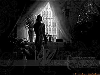 The window, other, shadow, window, woman HD wallpaper
