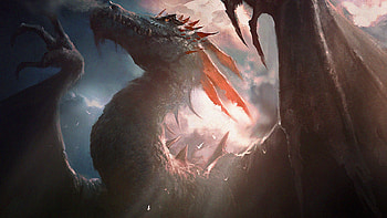 wyvern, fantasy, dragon HD wallpaper