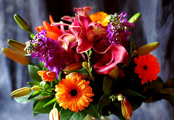 Flowers, Lilies, Gerberas, Typography, Registration, Close-Up, Bouquet, Calla, Callas HD wallpaper