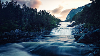 Stream of river, water flow, forest, nature HD wallpaper