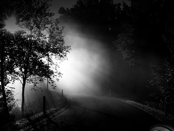 Morning Mist, bw, , abstract, dark HD wallpaper