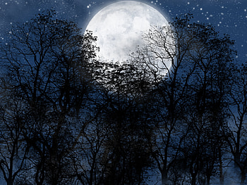 Landscape, Night, Moon HD wallpaper