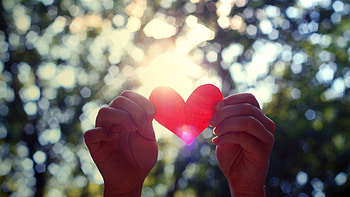 Trees, Leaves, Love, Shine, Light, Hands, Heart HD wallpaper