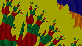 Cactus flowers, flowers, abstracts, MBF, fractals, cactus HD wallpaper