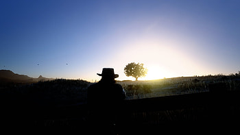 John Marston at the Ranch, tree, Red Dead Redemption, John Marston, video game, Red Dead Redemption 2 HD wallpaper