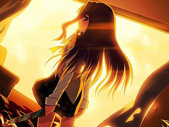 Claws, Claw, evi, Longhair, brow HD wallpaper