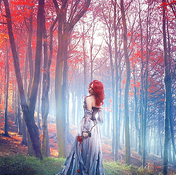 Chrysalis Heart, roses, red, trees, forest, woman HD wallpaper