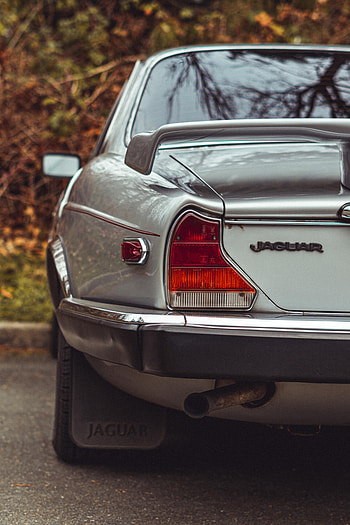 Jaguar, Cars, Car, Machine, Vintage, Back View, Rear View, Retro HD phone wallpaper