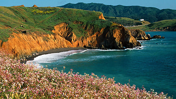 Nature, Flowers, Sea, Sun, Coast, Break, Precipice HD wallpaper