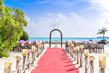 A scenic tropical beach wedding setup with a red carpet aisle and ocean views, perfect for destination weddings. HD wallpaper