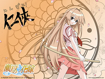 Seto No Hanayome, my bride is a mermaid, mermaid, sword, sun seto HD wallpaper
