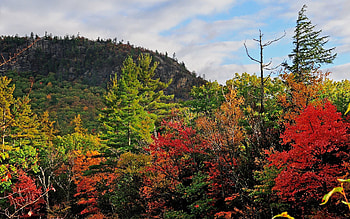 Landscape, Nature, Trees, Sky, Autumn HD wallpaper