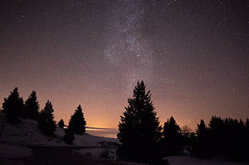 A serene starry night sky over snowy trees in Viuz-la-Chiésaz, capturing the Milky Way. HD wallpaper