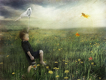 childhood, flowers, playing, field, child HD wallpaper