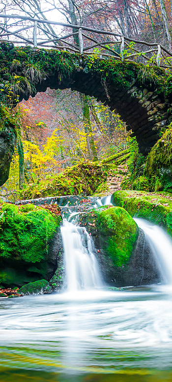 Emerald Arch Falls | Mossbridge Waterfall | Hidden Glen Cascade, nature, waterfall HD phone wallpaper