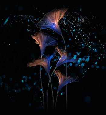 Flowers, abstract, glow, digital art HD phone wallpaper