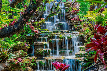 Waterfall in Thailand, summer, Thailand, Asia, plants, exotic, waterfall, cascades, beautiful, forest HD wallpaper