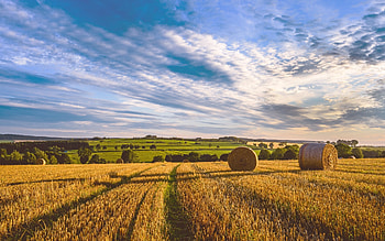 Field in Germany, landscape, nature, Germany, field HD wallpaper