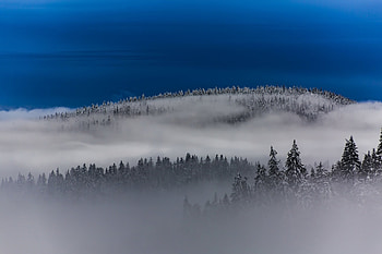 Foggy Winter Forest Landscape, Fog, Winter, Trees, Nature, Forests, Landscapes, Mountains HD wallpaper