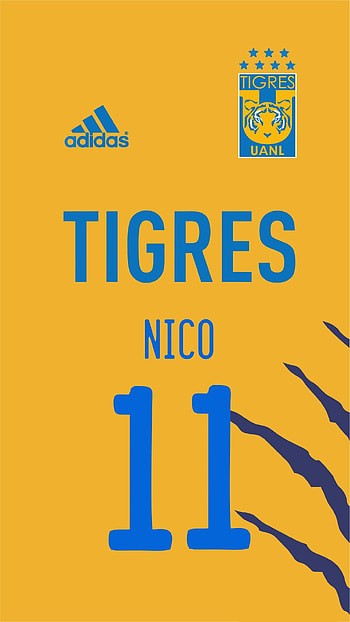 Tigres UANL, diente lopez, libres y lokos, incomparables, Auriazules, felinos HD phone wallpaper
