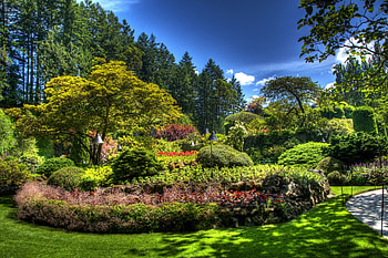 Nature, Vegetation, Flower Bed, Flowerbed, Shadow, Garden, Brightly HD wallpaper