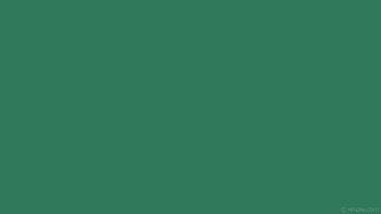 plain single one colour turquoise solid color HD wallpaper