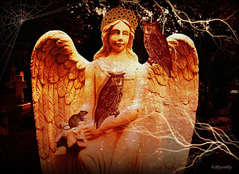 Golden Angel , night, halloween, light, rat, angel, spooky, golden angel, owl HD wallpaper