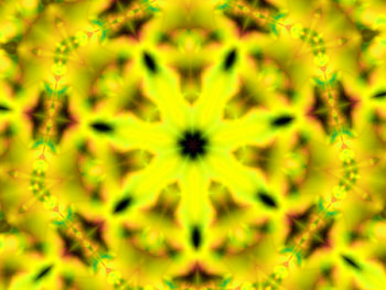 7 Petals, abstract, graphy, petals, digital art, nature, flowers, fractal HD wallpaper