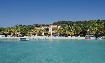 Coral reef conservation, Roatn's treasures, Protecting marine life, Ocean alliance HD wallpaper