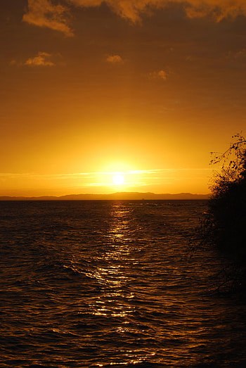 Nature, Water, Sunset, Horizon, Ripples, Ripple HD phone wallpaper