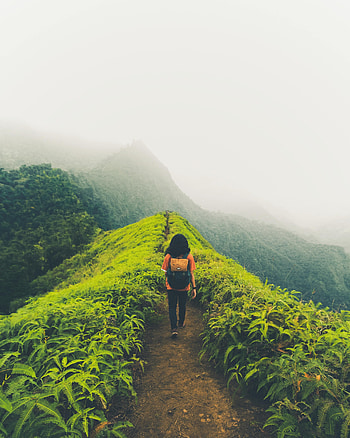 Mountains, Miscellanea, Miscellaneous, Fog, Path, Loneliness, Alone, Lonely HD phone wallpaper