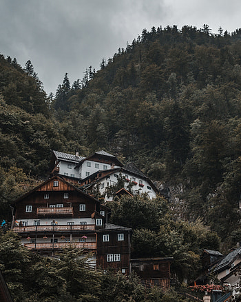 Trees, Building, Mountain, Miscellanea, Miscellaneous, Forest, House, Slope HD phone wallpaper
