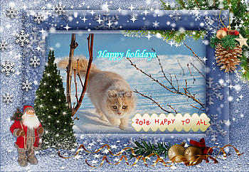 Happy New Year, winter, cats, holidays, new year HD wallpaper