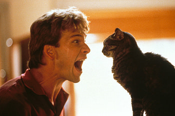 Ghost, Patrick Swayze HD wallpaper