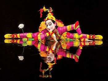 Alegria, pink, black, reflection, clown, yellow, flower, colors, hat HD wallpaper