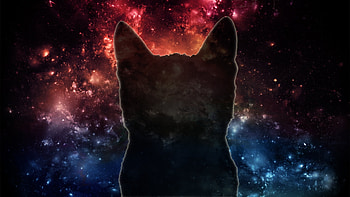 Galaxy Cat, space , Celestial cat, Captivating view HD wallpaper