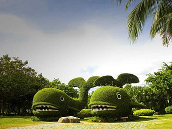 Whales in Garden, cool HD wallpaper