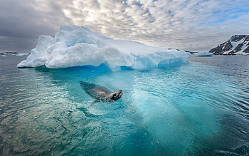 Frozen wonder, Nature's masterpiece, Majestic beauty, Serene landscape HD wallpaper