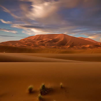 Stunning view of Moroccan sand dunes under a vibrant blue sky, highlighting the beauty of the Sahara Desert. HD phone wallpaper