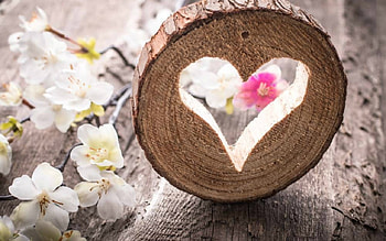 For You, flowers, heart, wood, love HD wallpaper